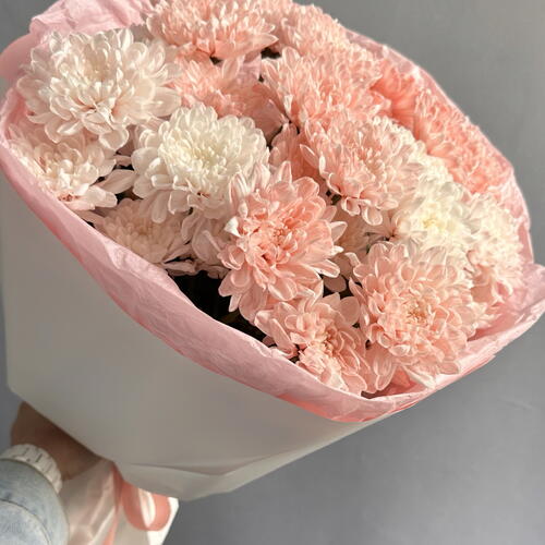 review-photo-before