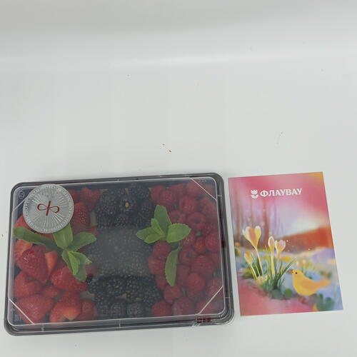 review-photo-before
