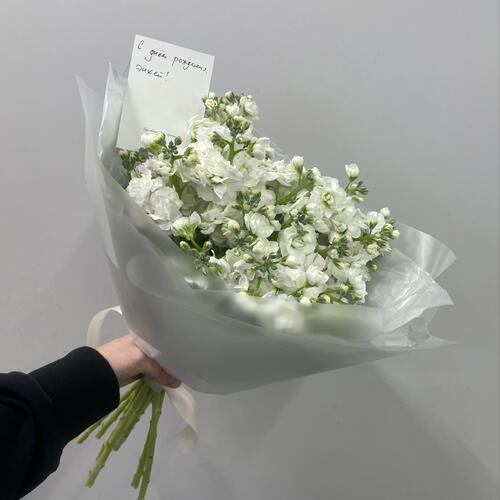 review-photo-before