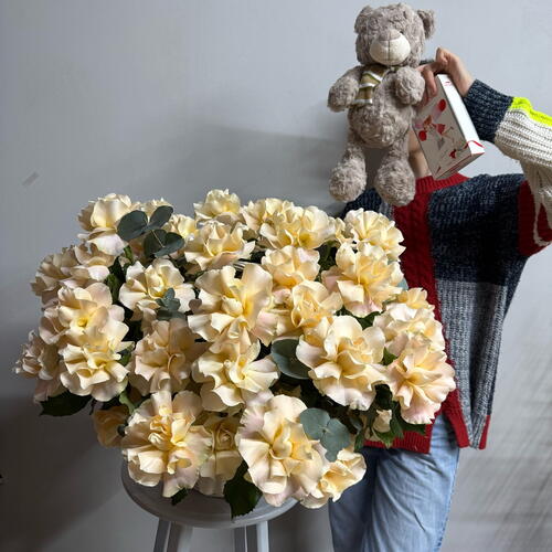 review-photo-before
