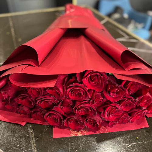 review-photo-before