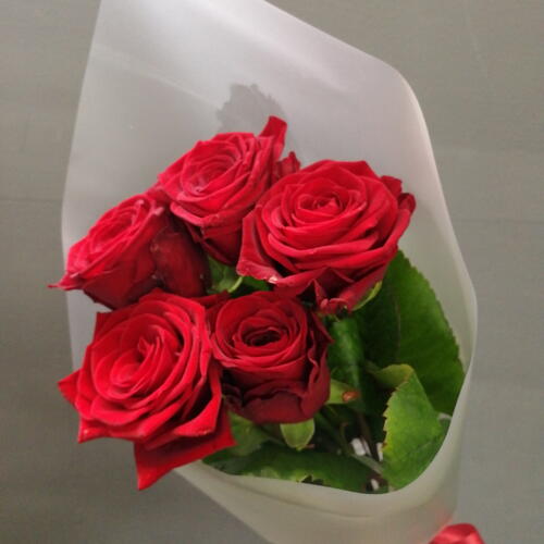 review-photo-before
