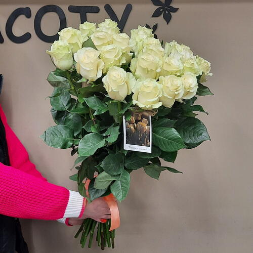 review-photo-before