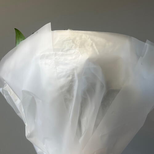 review-photo-before