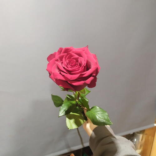 review-photo-before