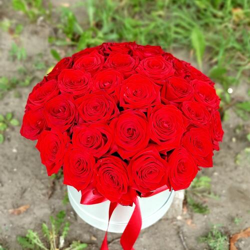 review-photo-before