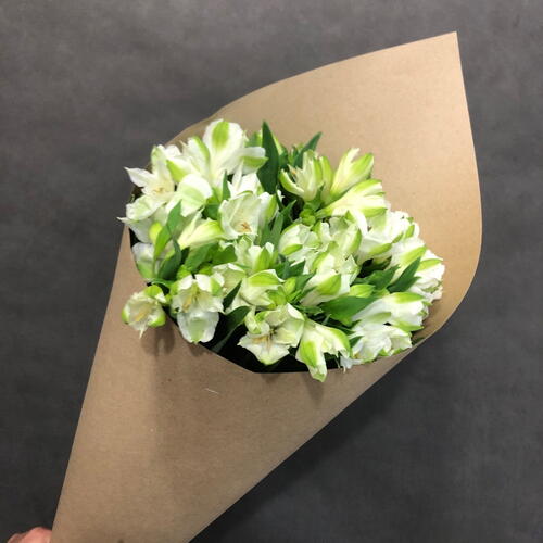 review-photo-before