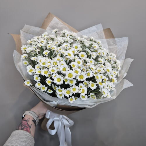 review-photo-before