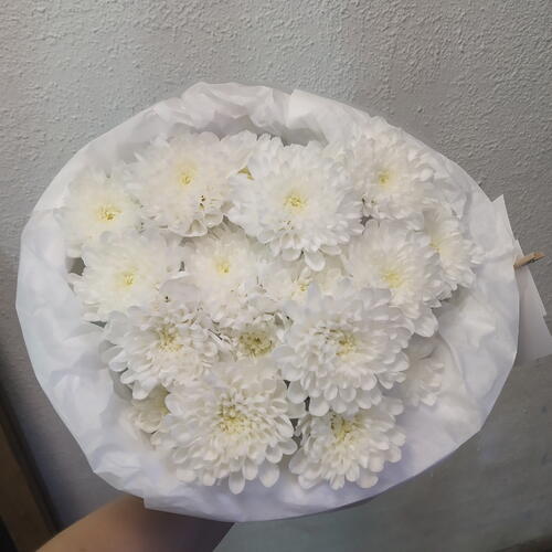 review-photo-before