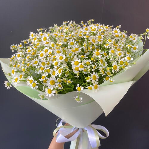 review-photo-before