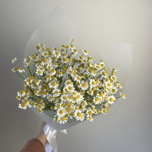 review-photo-before
