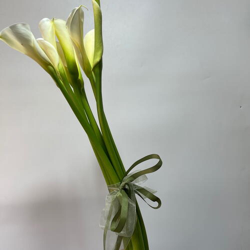 review-photo-before