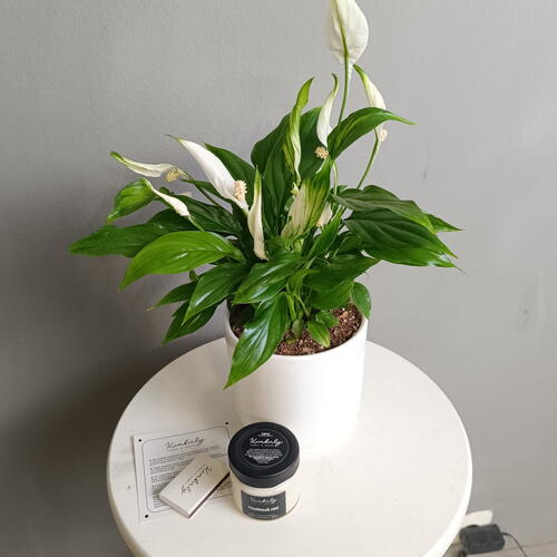 review-photo-before