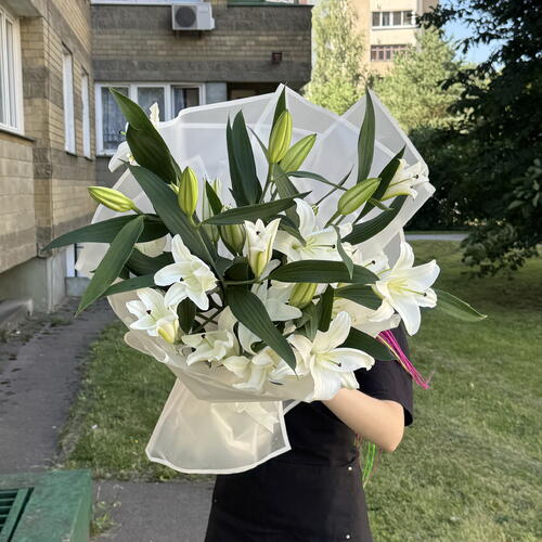 review-photo-before