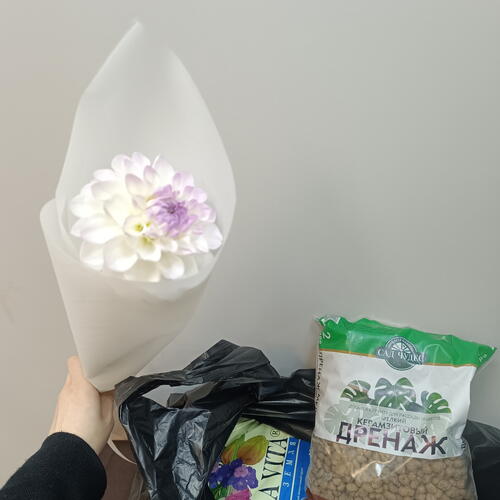 review-photo-before