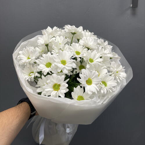 review-photo-before