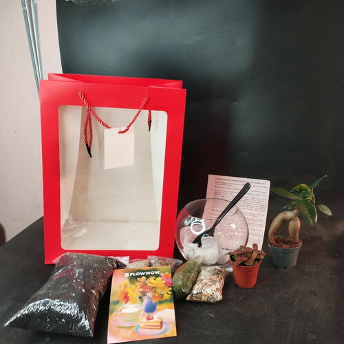 review-photo-before