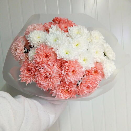 review-photo-before