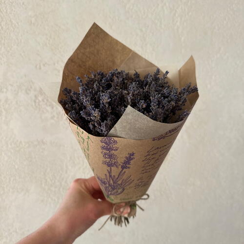 review-photo-before