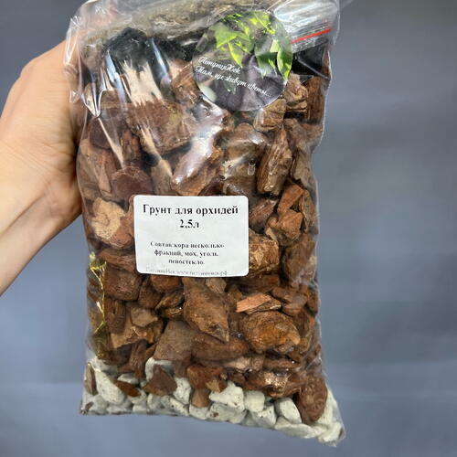 review-photo-before