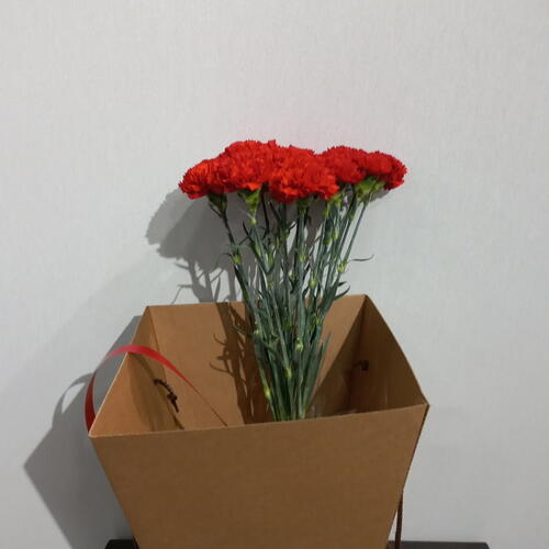 review-photo-before