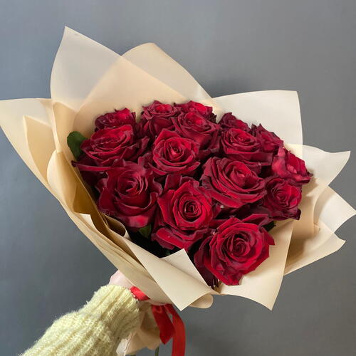 review-photo-before