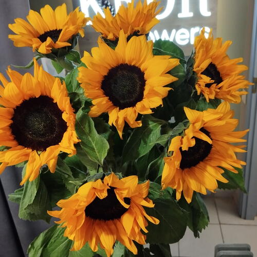 review-photo-before