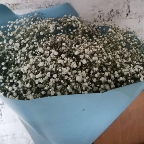 review-photo-before