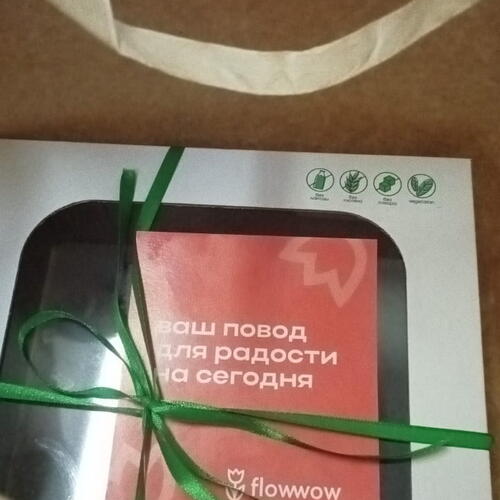 review-photo-before