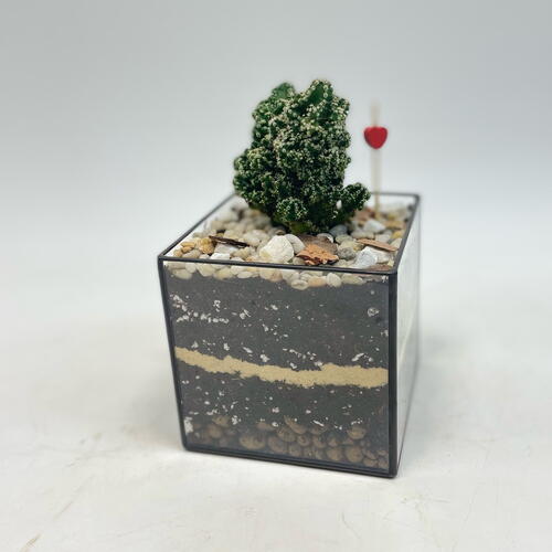 review-photo-before