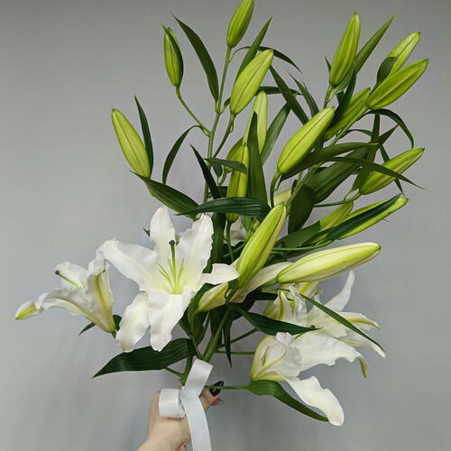 review-photo-before