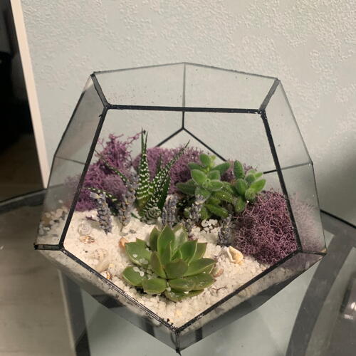 review-photo-before