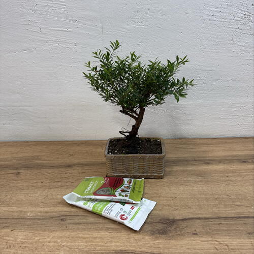 review-photo-before