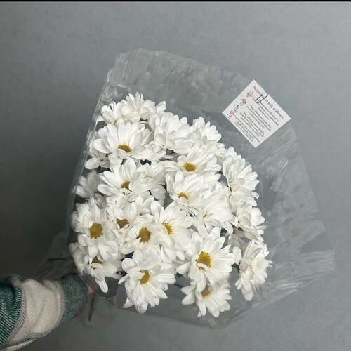 review-photo-before