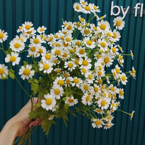 review-photo-before