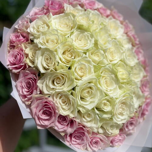 review-photo-before
