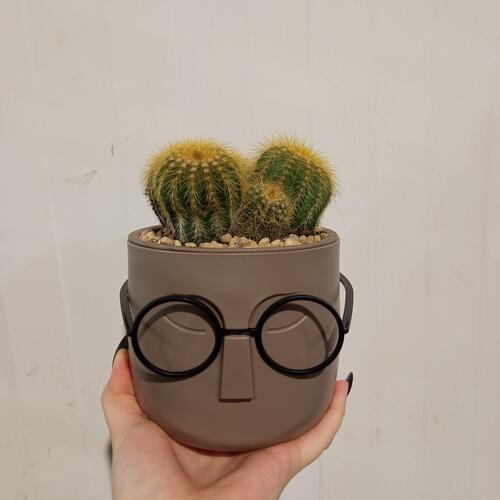 review-photo-before