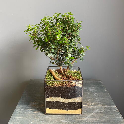 review-photo-before