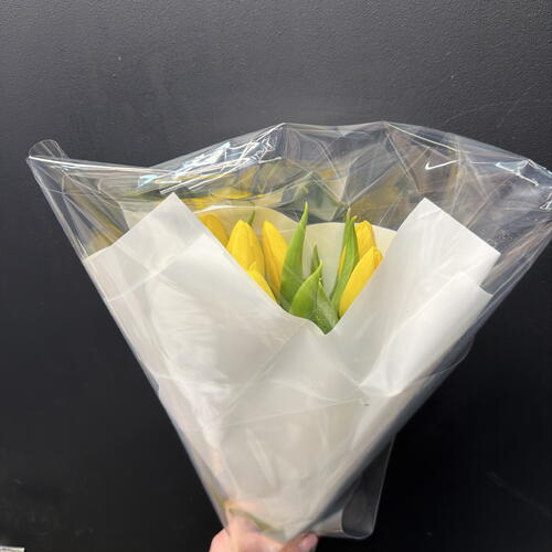review-photo-before