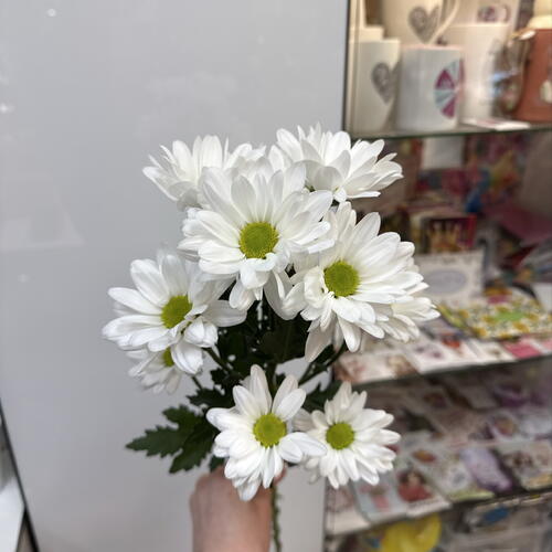 review-photo-before