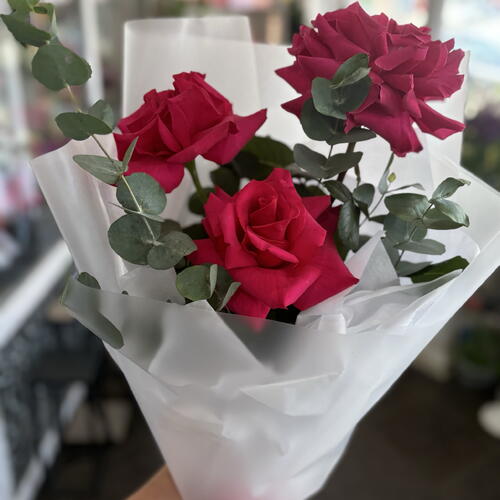 review-photo-before