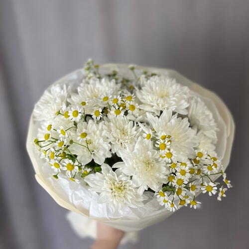 review-photo-before