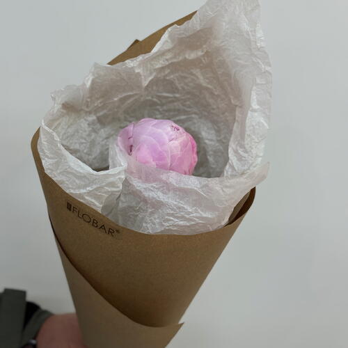 review-photo-before