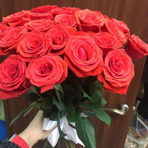 review-photo-before