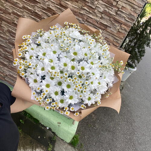 review-photo-before