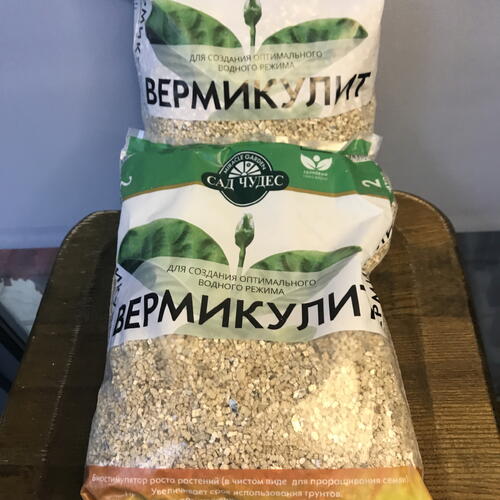 review-photo-before