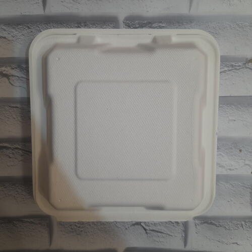 review-photo-before
