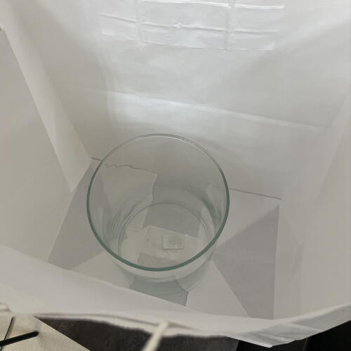 review-photo-before