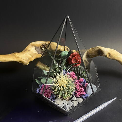 review-photo-before
