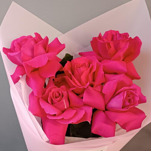 review-photo-before